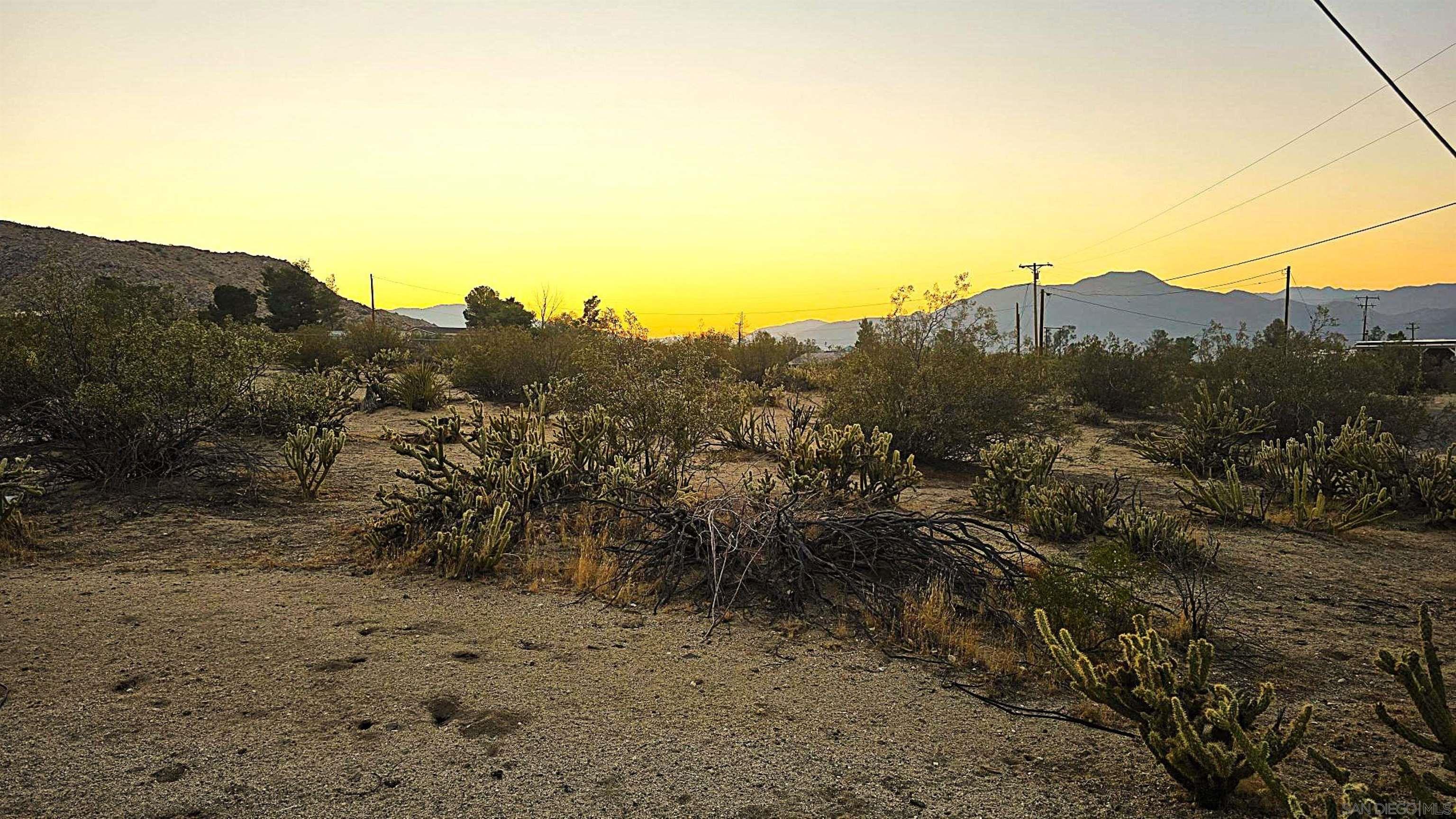 0 Last Chance Trail, Unit 289 Julian, CA 92036 - Photo 2 of 4 a view of a dry yard with mountains in the background