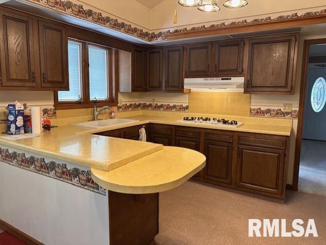 614 French Street Chapin, IL 62628 - Photo 6 of 23