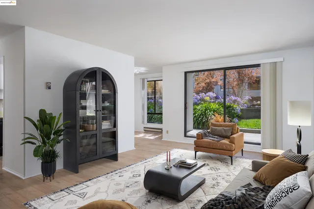 a living room with furniture potted plant and a large window