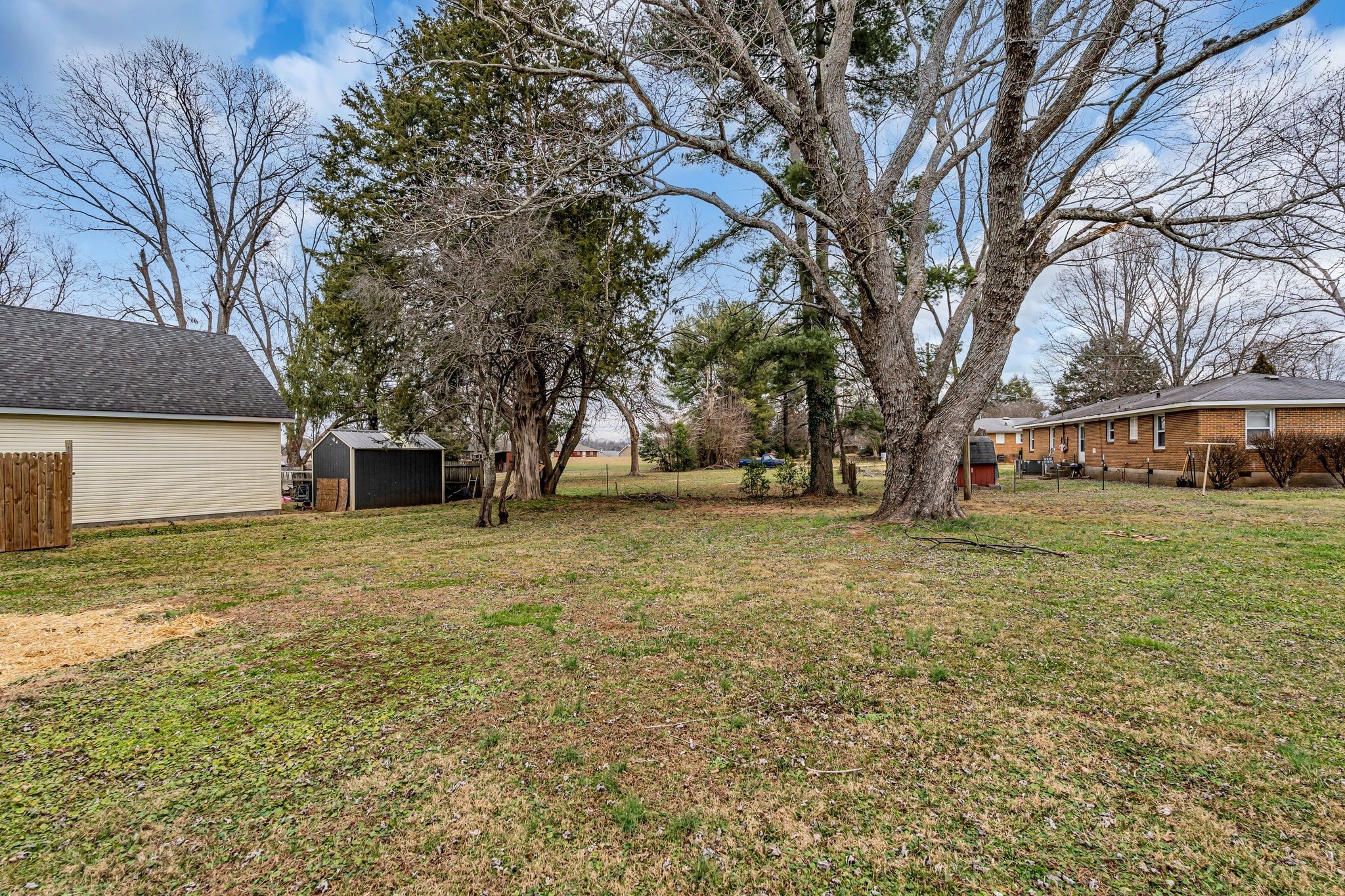 1102 North High Street Winchester, TN 37398 - Photo 21 of 27 a big yard with trees