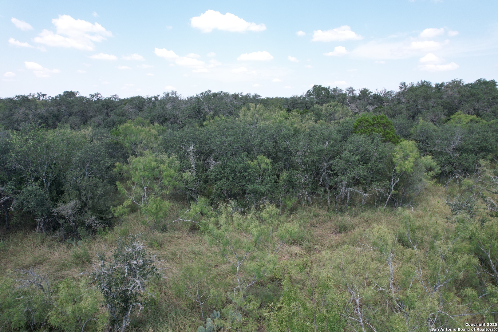 33 Utopia Forest D'Hanis, TX 78850 - Photo 13 of 19 a view of a field of grass and trees