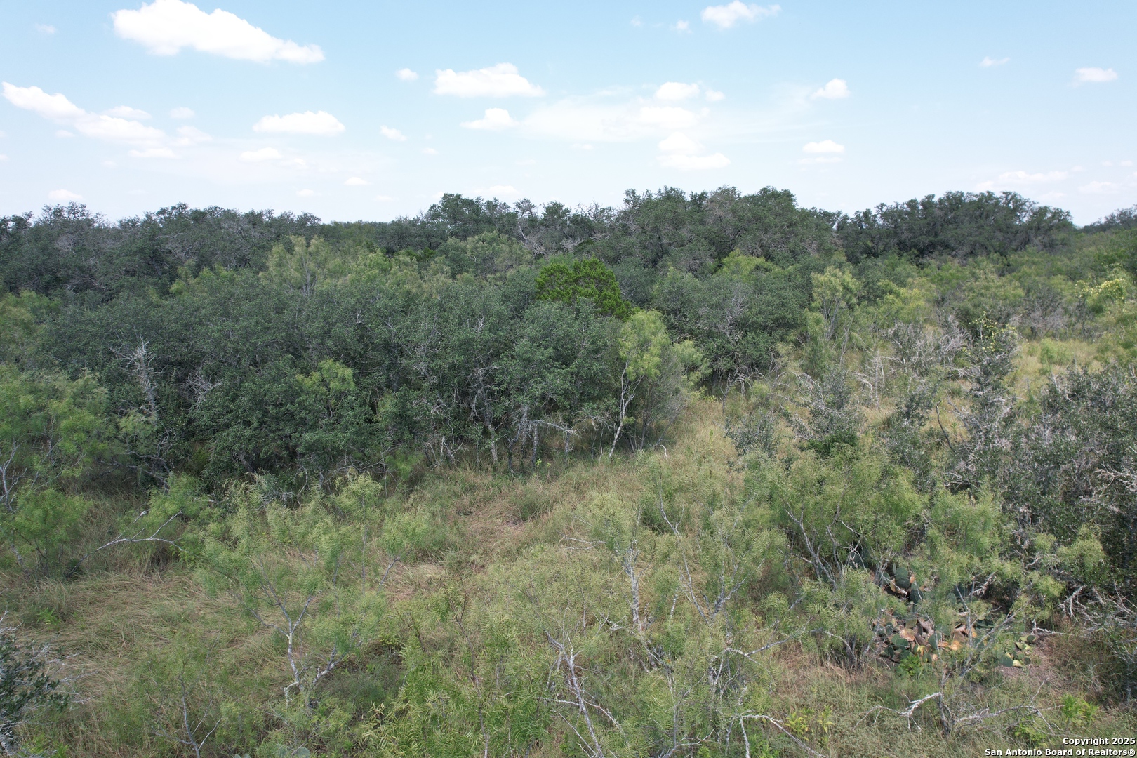 33 Utopia Forest D'Hanis, TX 78850 - Photo 14 of 19 a view of a field of grass and trees