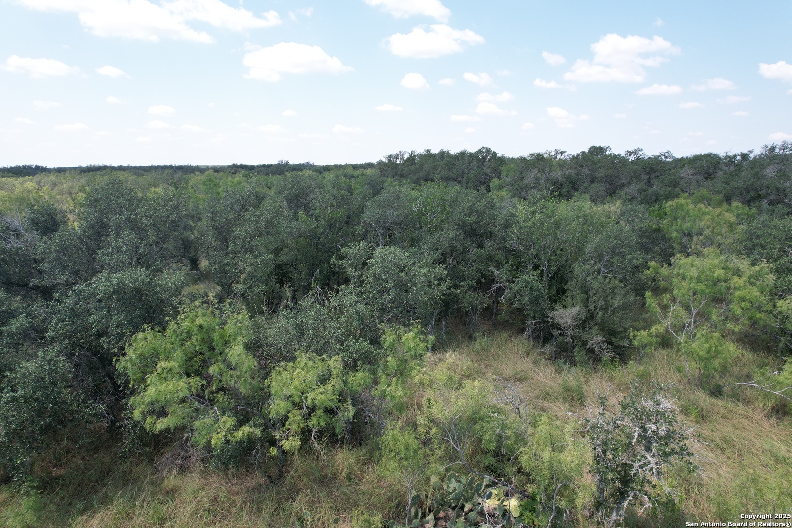 33 Utopia Forest D'Hanis, TX 78850 - Photo 15 of 19 a view of a forest with a street