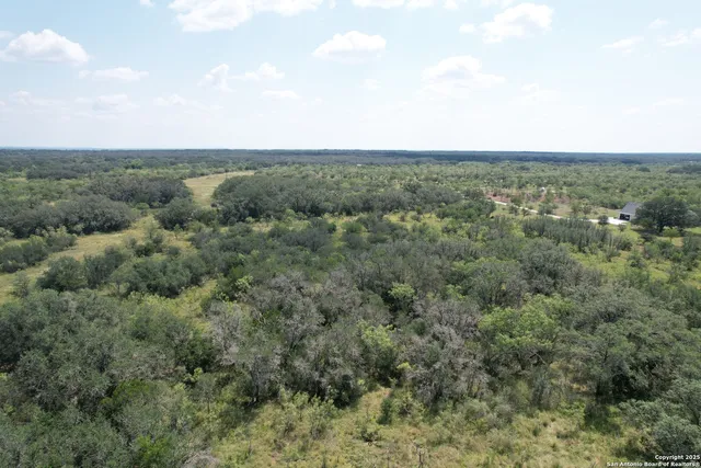 an aerial view of forest
