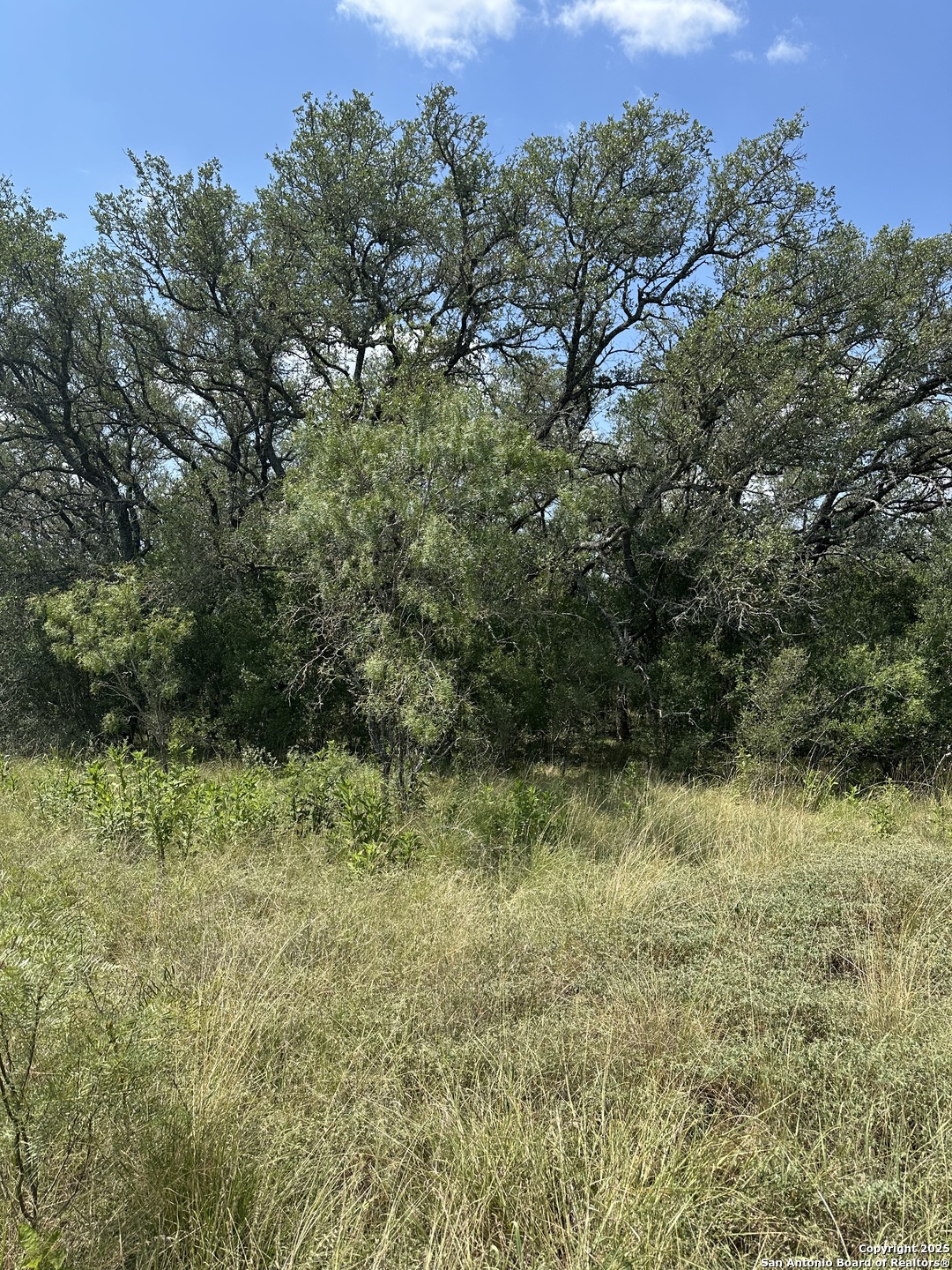 33 Utopia Forest D'Hanis, TX 78850 - Photo 17 of 19 a view of a yard with a tree