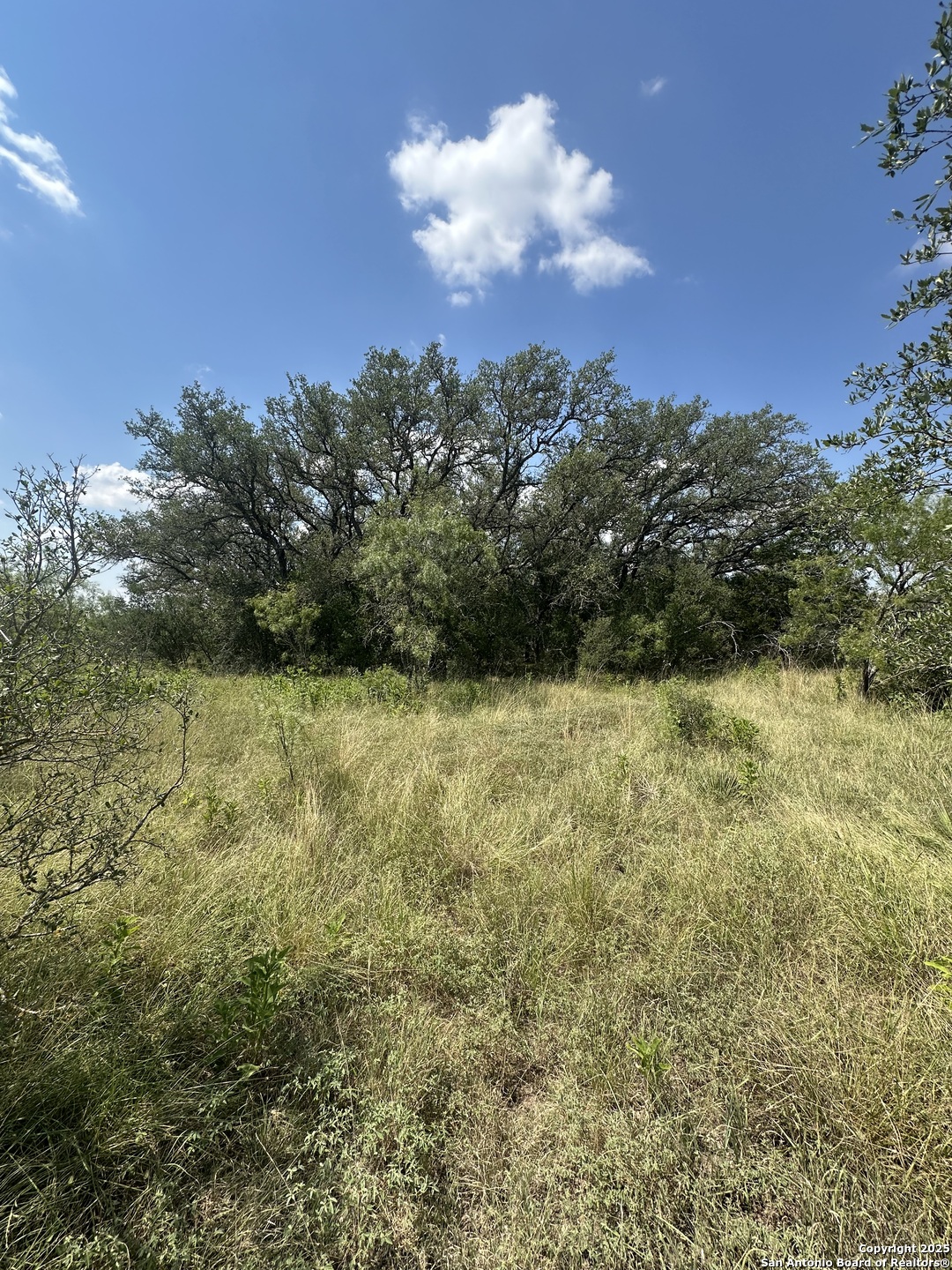 33 Utopia Forest D'Hanis, TX 78850 - Photo 18 of 19 a view of a garden