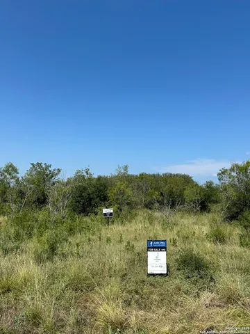 a view of a television with a forest