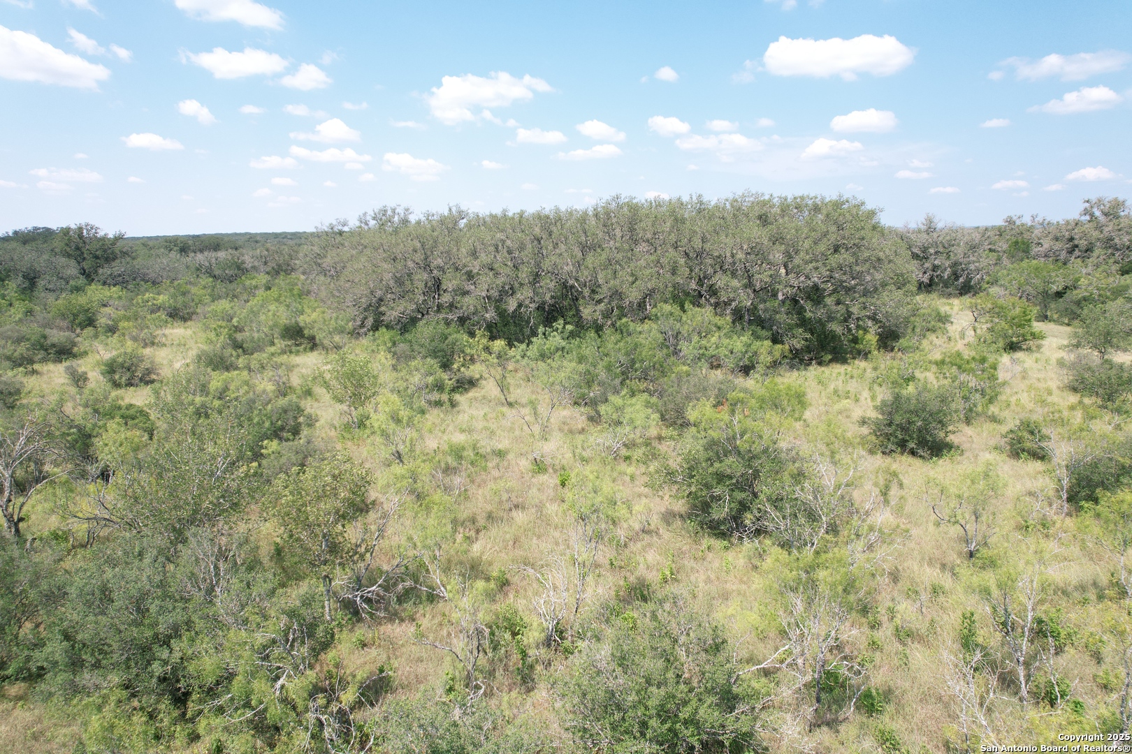 33 Utopia Forest D'Hanis, TX 78850 - Photo 5 of 19 a view of a field of grass and trees