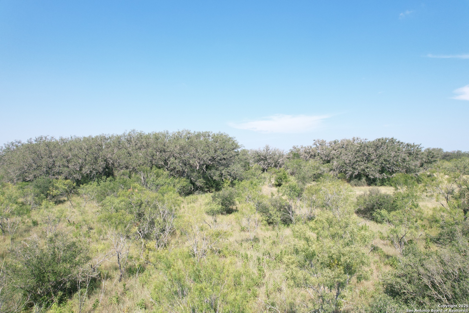 33 Utopia Forest D'Hanis, TX 78850 - Photo 6 of 19 a view of a green field