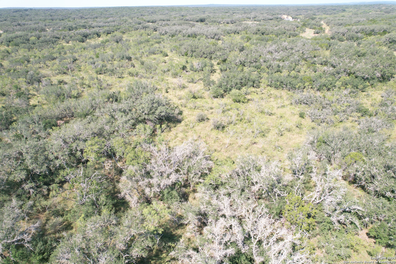 33 Utopia Forest D'Hanis, TX 78850 - Photo 7 of 19 a view of a field