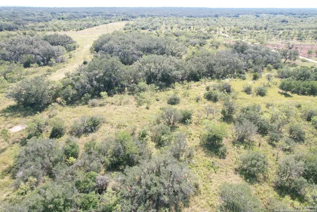 an aerial view of forest