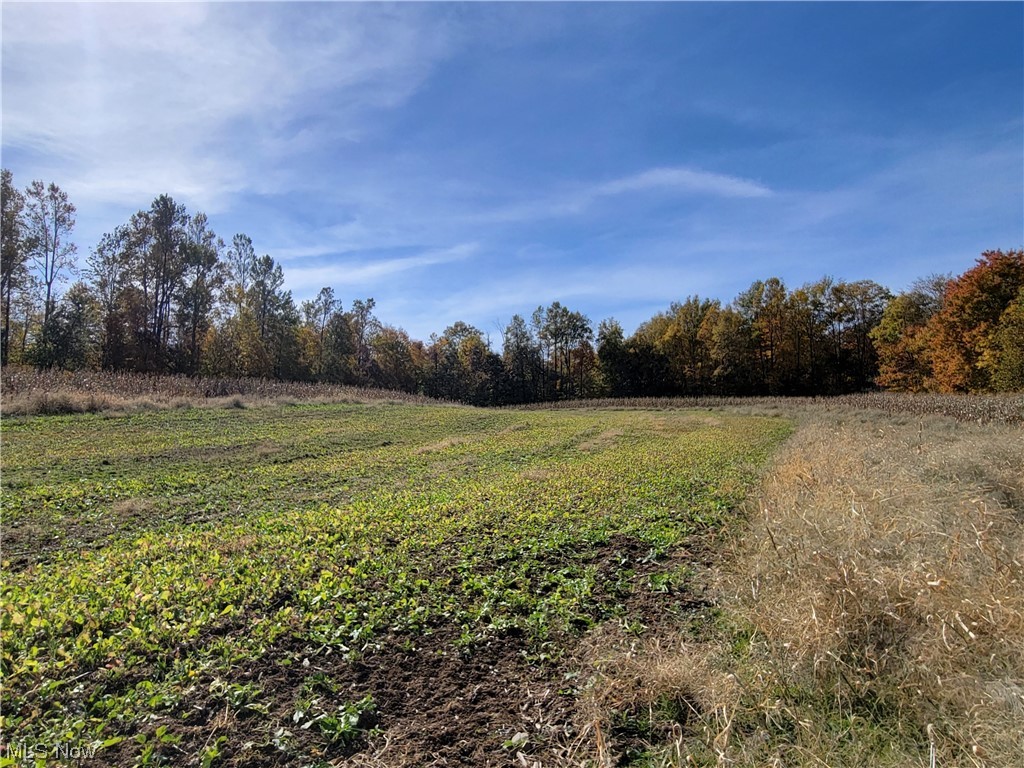 Blue Rd Mount Mount Vernon, OH 43050 - Photo 11 of 23 Gallery Image 11