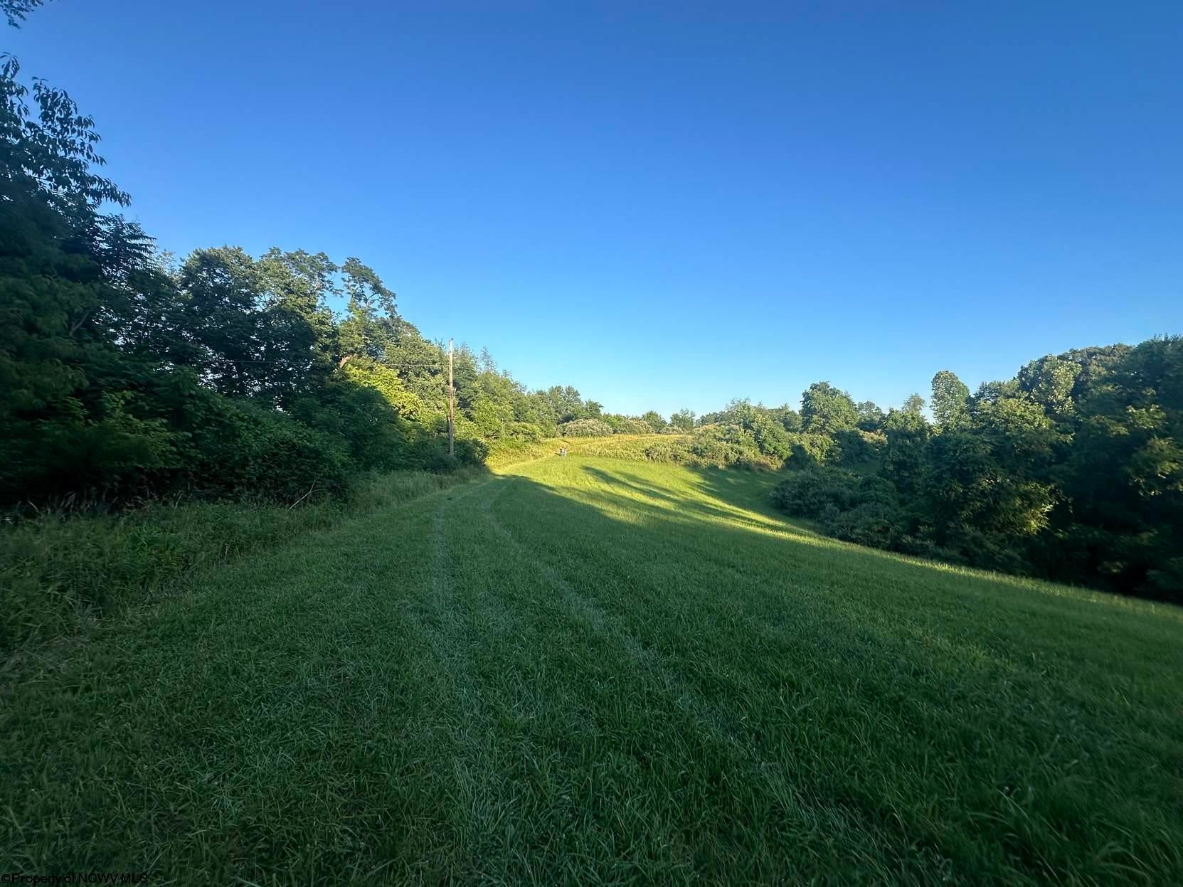 Tbd Stone Coal Road Lost Creek, WV 26385 - Photo 1 of 11 Gallery Image 1
