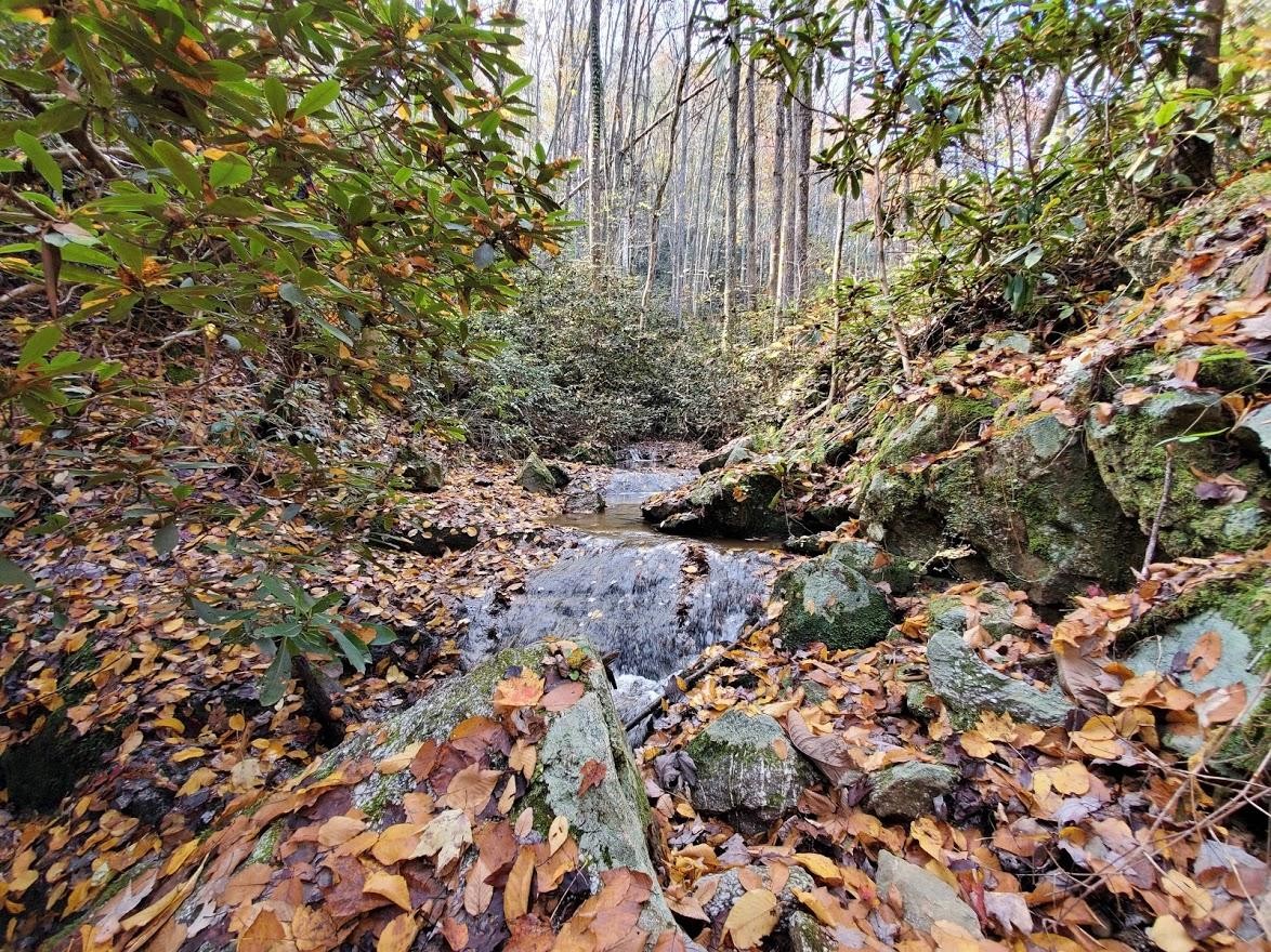 1 Mill Creek Road Pigeon Forge, TN 37862 - Photo 19 of 26 Gallery Image 19