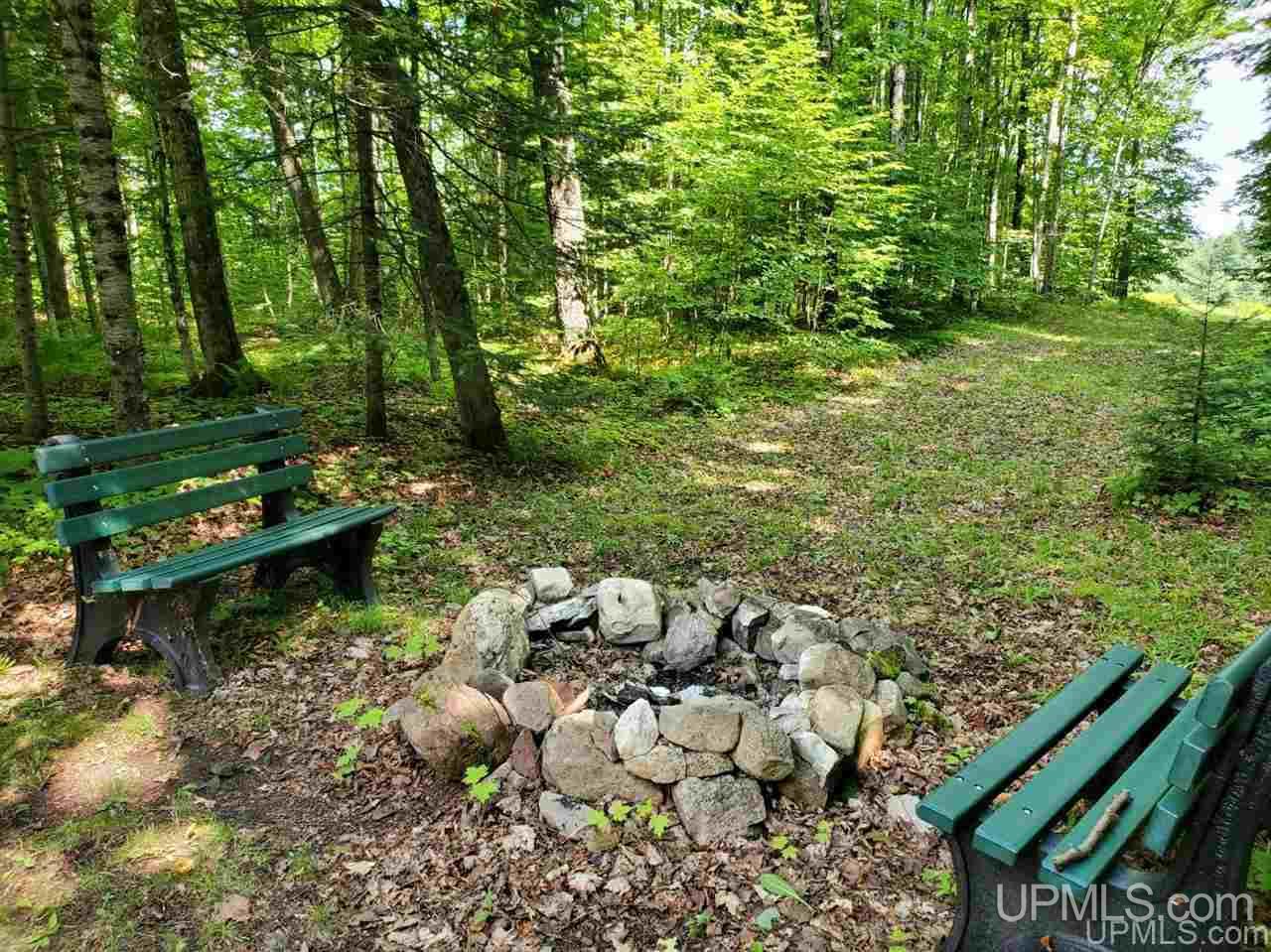 3963 Magnusson Road Chatham, MI 49816 - Photo 3 of 32
