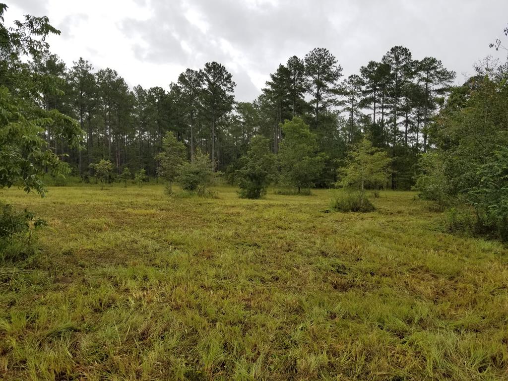 0 Zachary Road Dothan, AL 36301 - Photo 1 of 1