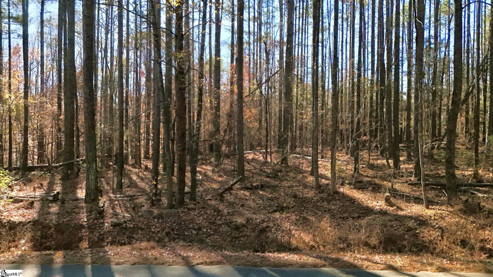 290 Hanna Creek Road Enoree, SC 29335 - Photo 12 of 15