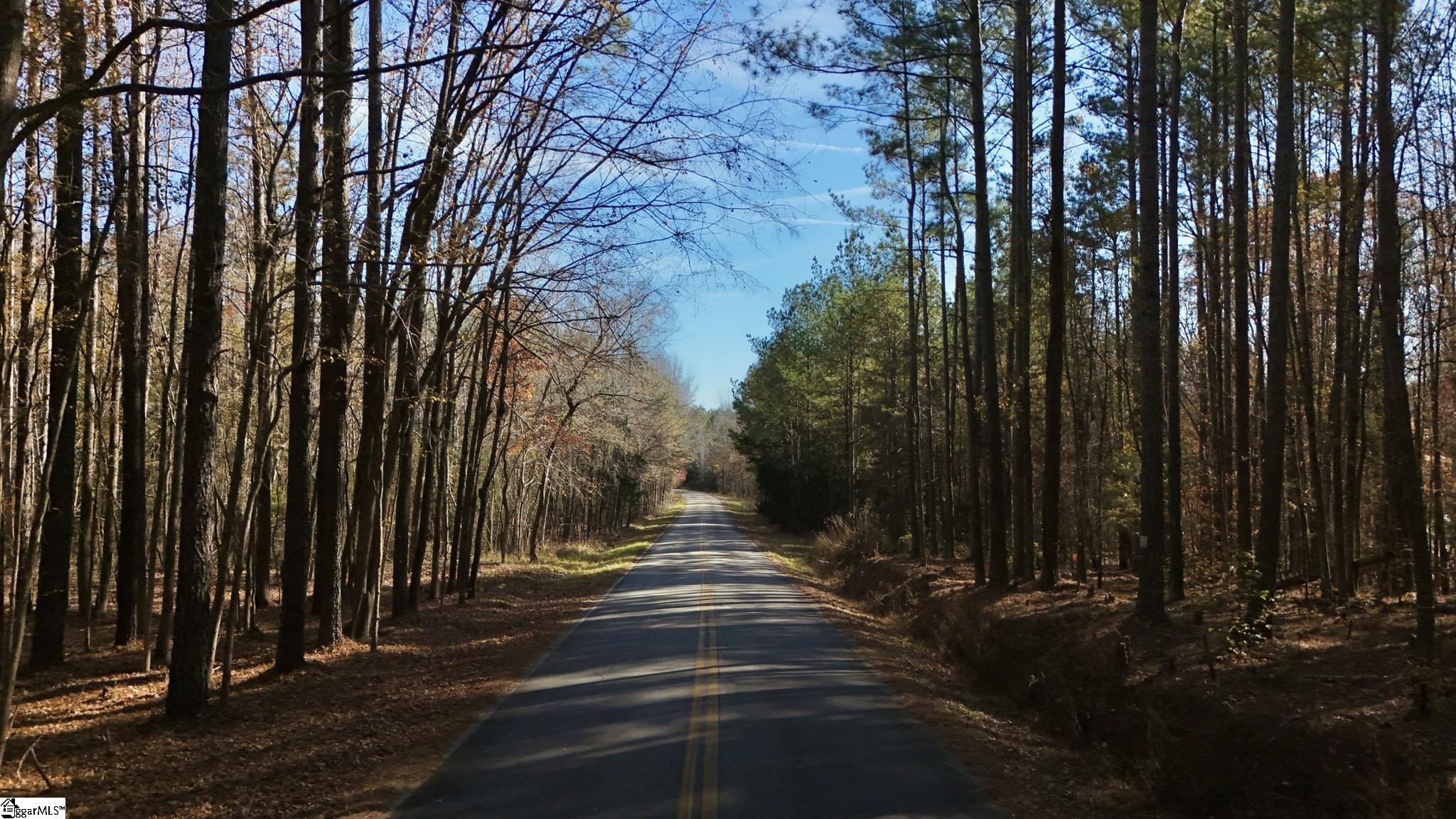 290 Hanna Creek Road Enoree, SC 29335 - Photo 13 of 15