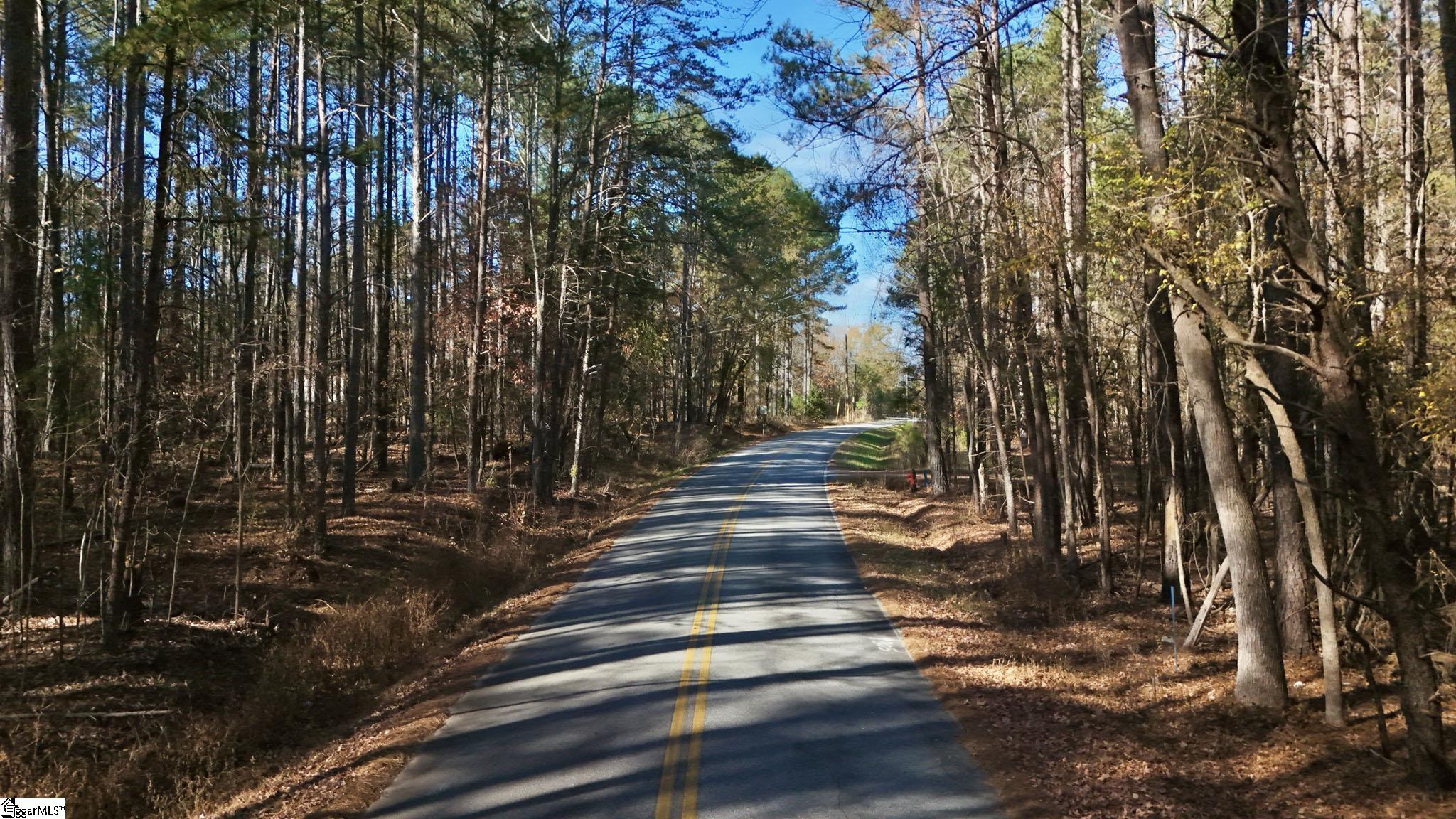 290 Hanna Creek Road Enoree, SC 29335 - Photo 14 of 15