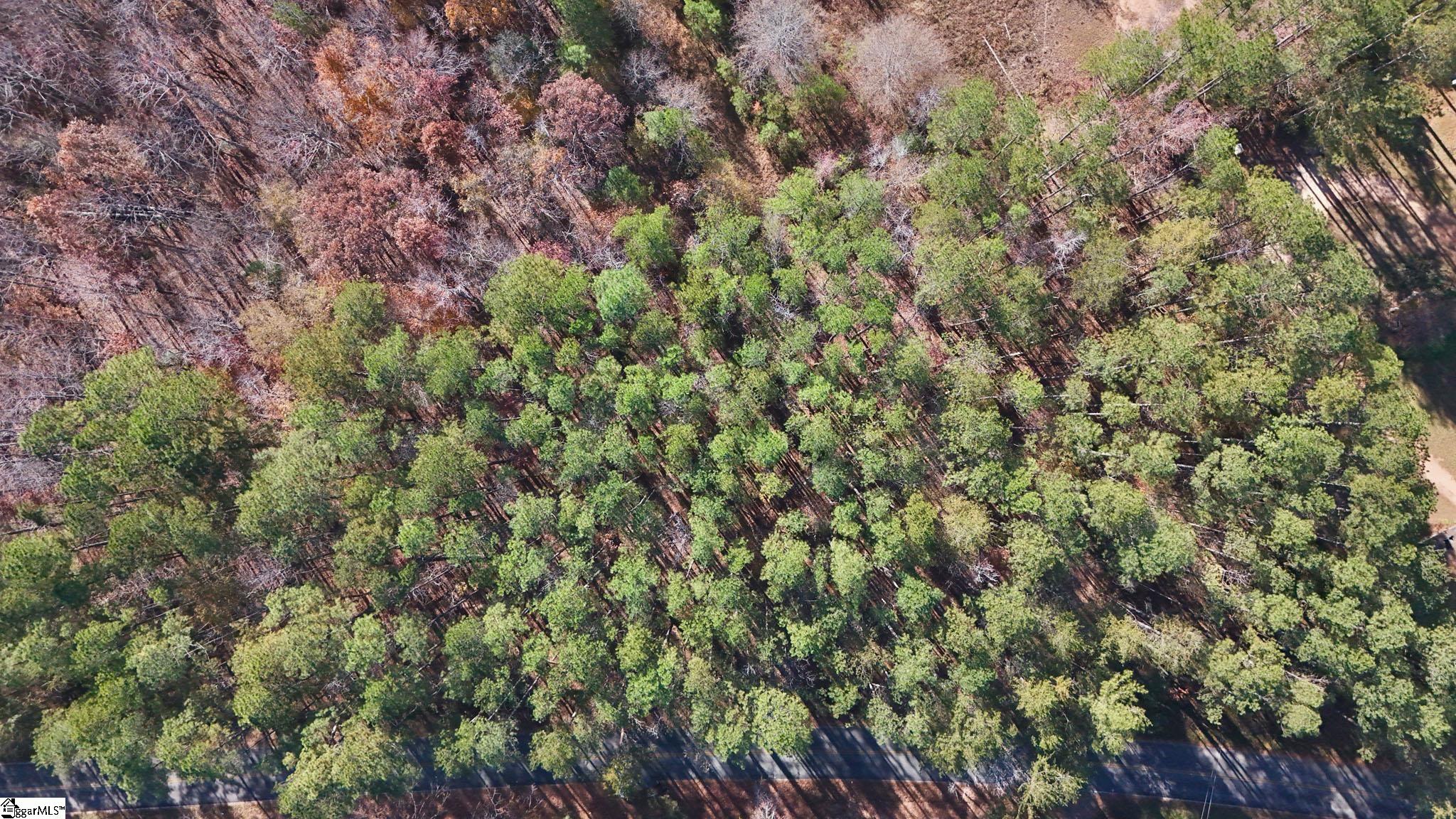 290 Hanna Creek Road Enoree, SC 29335 - Photo 15 of 15