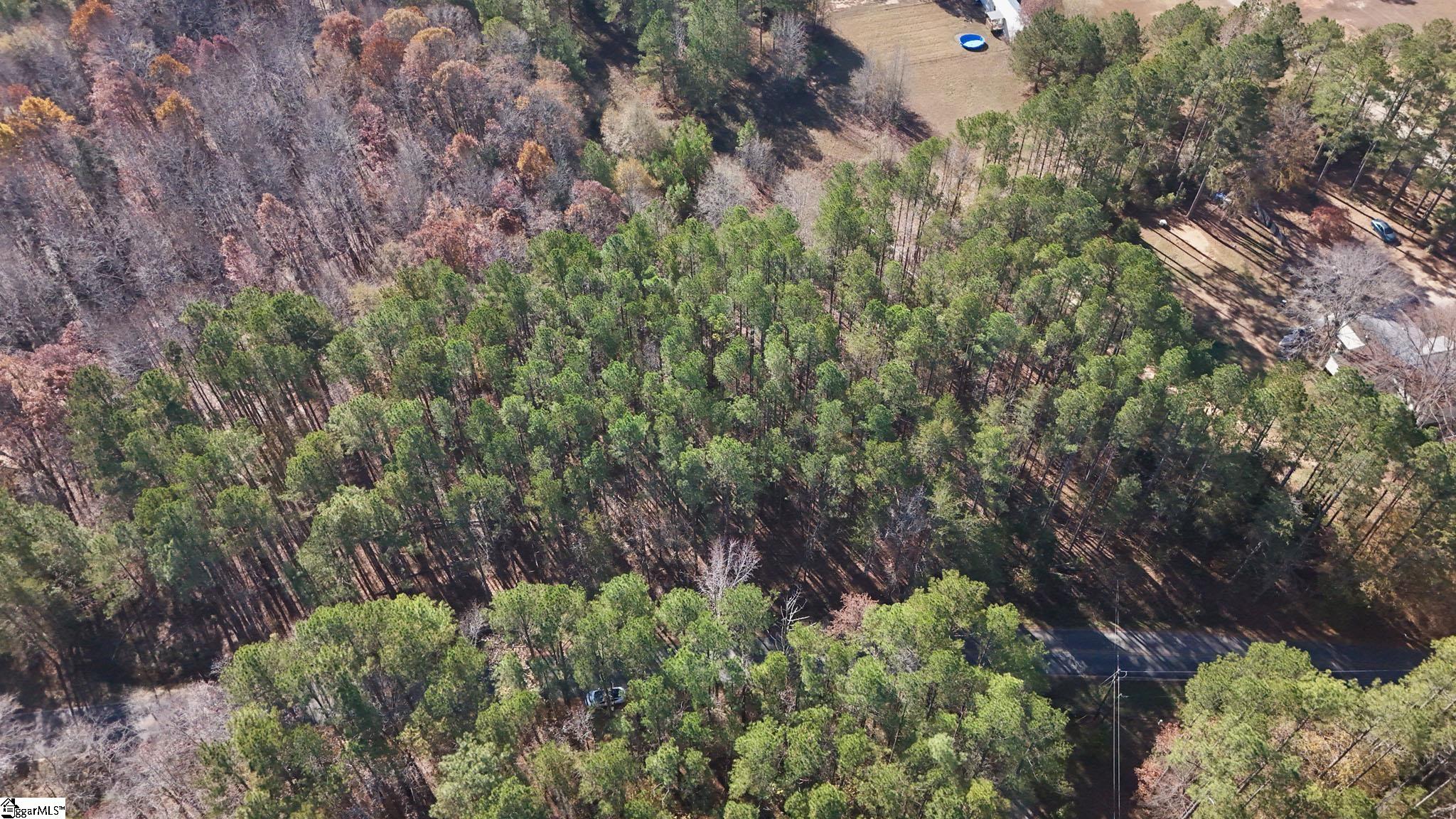 290 Hanna Creek Road Enoree, SC 29335 - Photo 4 of 15