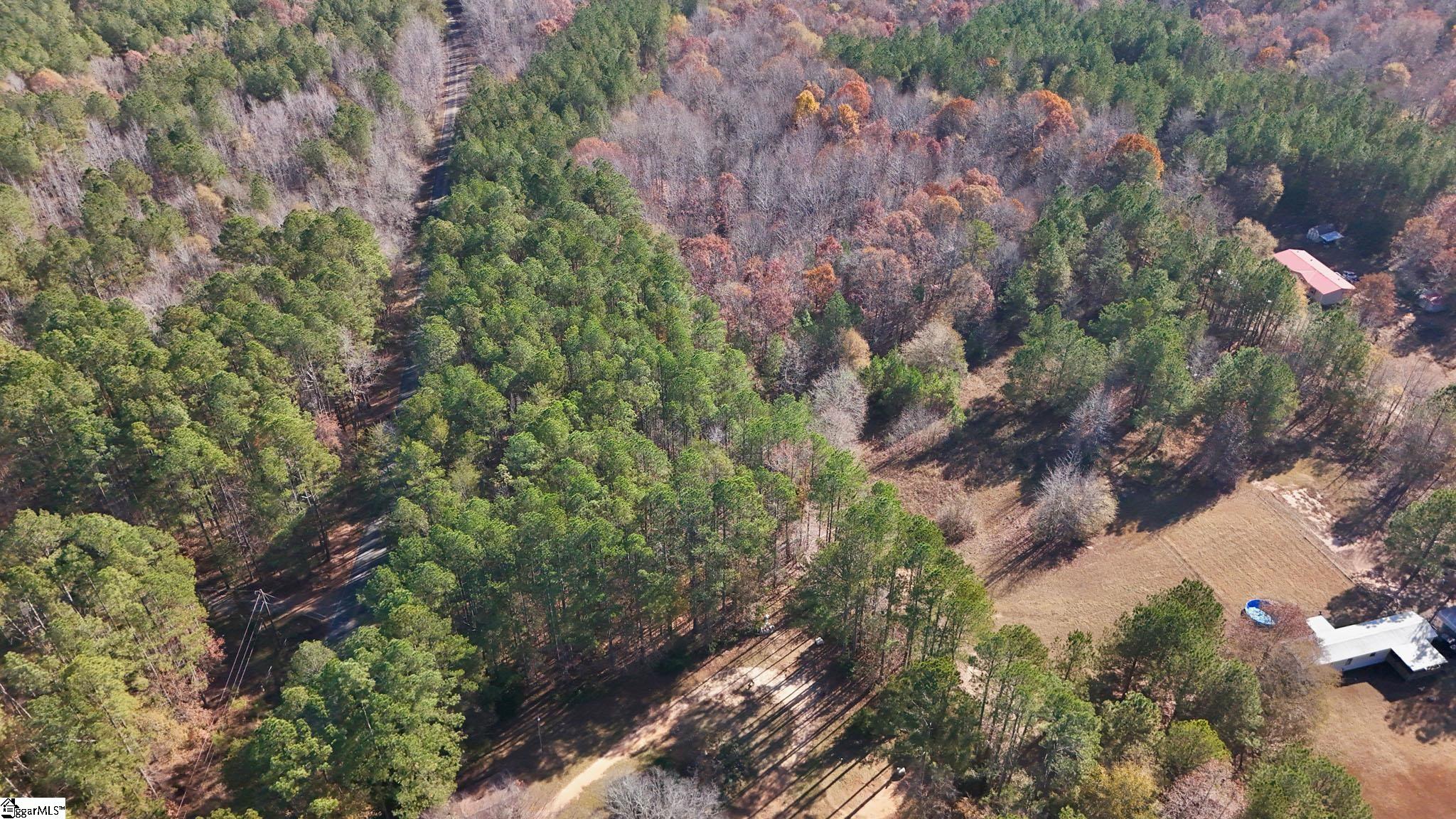 290 Hanna Creek Road Enoree, SC 29335 - Photo 7 of 15