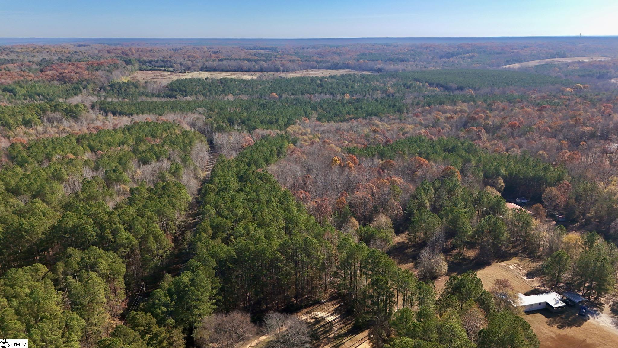 290 Hanna Creek Road Enoree, SC 29335 - Photo 9 of 15