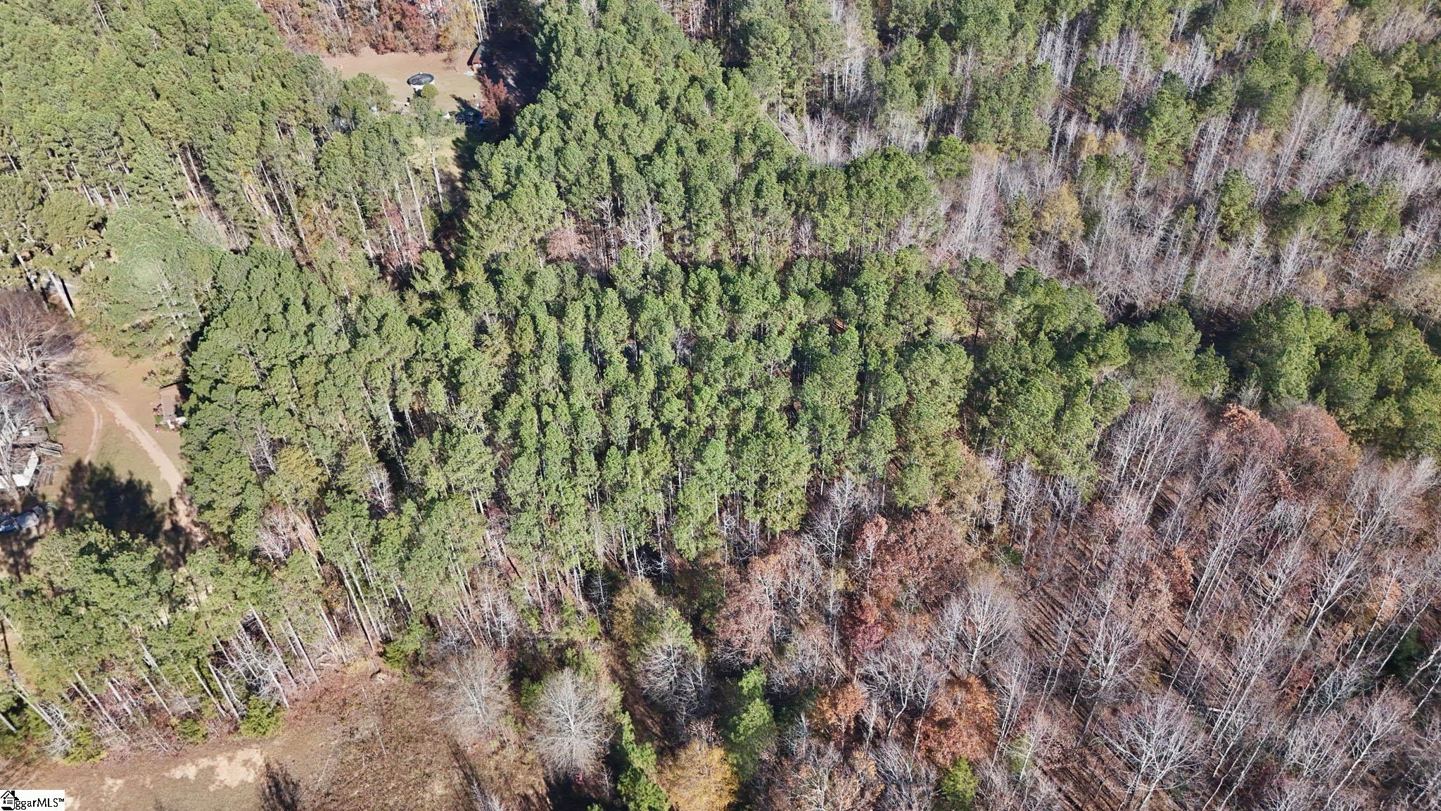 290 Hanna Creek Road Enoree, SC 29335 - Photo 10 of 15