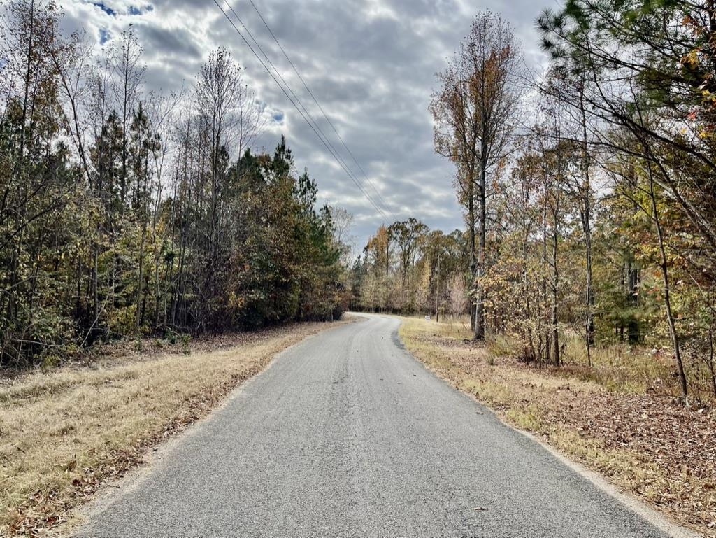 5-acres Monk House Road Somerville, TN 38068 - Photo 14 of 15 a view of a yard with wooden fence