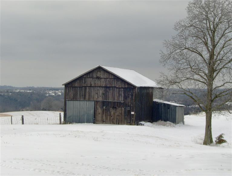 3416 Parina Road Brooksville, KY 41004 - Photo 12 of 20 Gallery Image 12