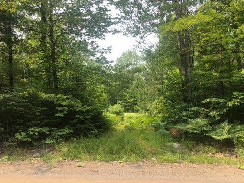0 Parsons Landing Road Dover-Foxcroft, ME 04426 - Photo 1 of 6 IMG957495