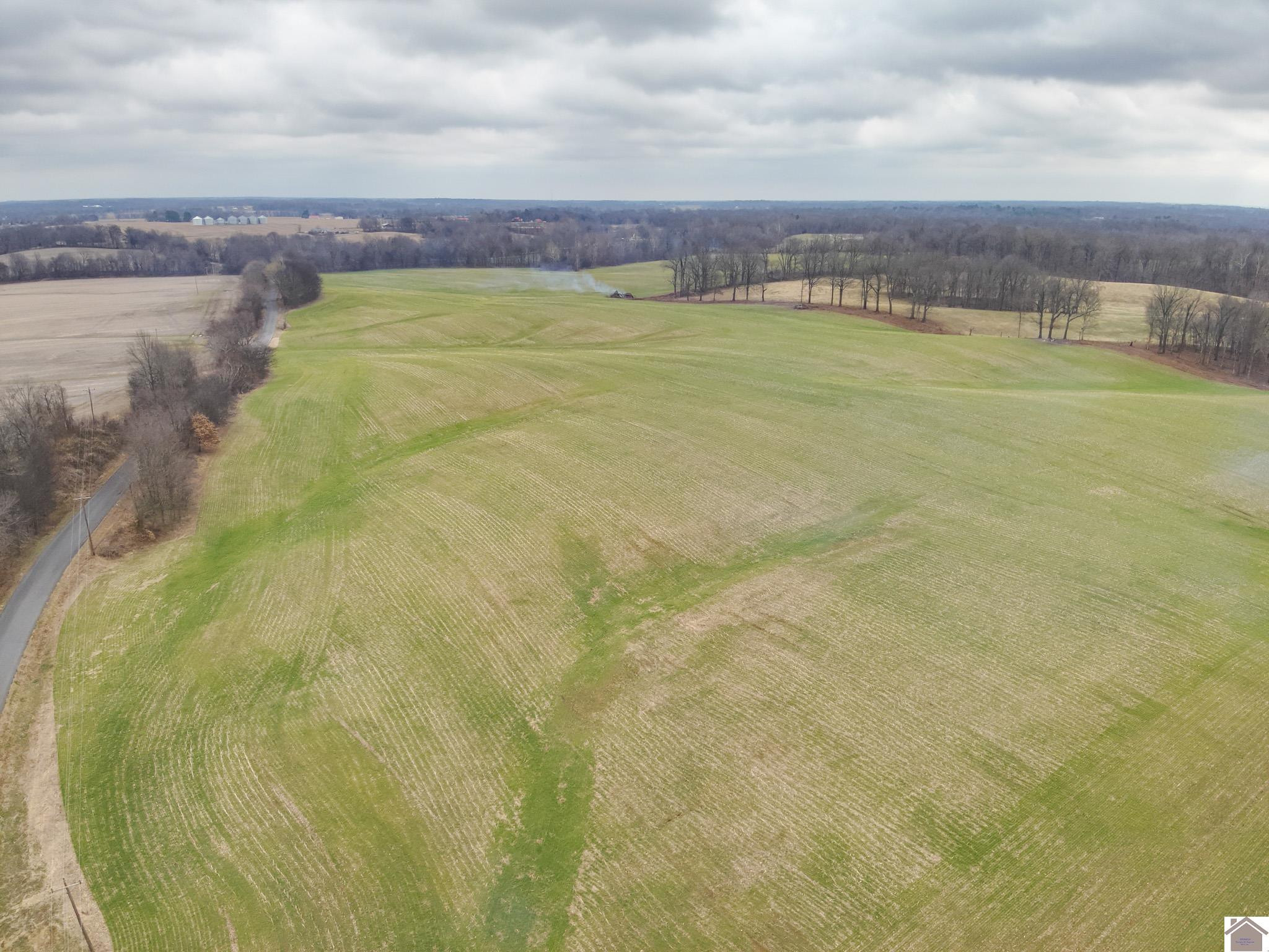 0 Ceredo Road Kevil, KY 42053 - Photo 6 of 10 Photo 6
