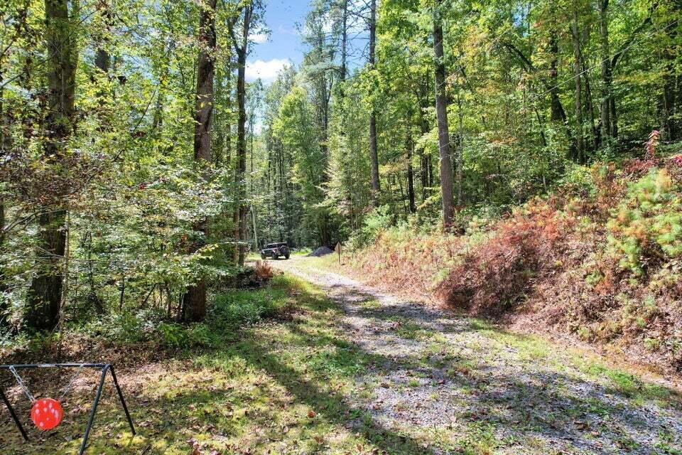 230 Big Towee Road Reliance, TN 37369 - Photo 31 of 32 Towee Rd 2