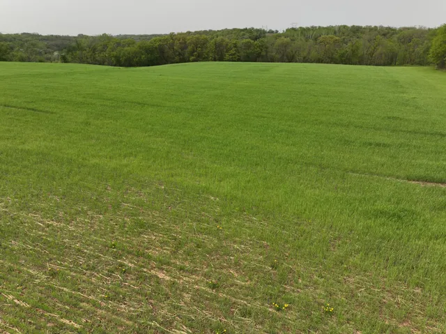 $595,000 | 111 Highway 19, Northfield, MN 55057