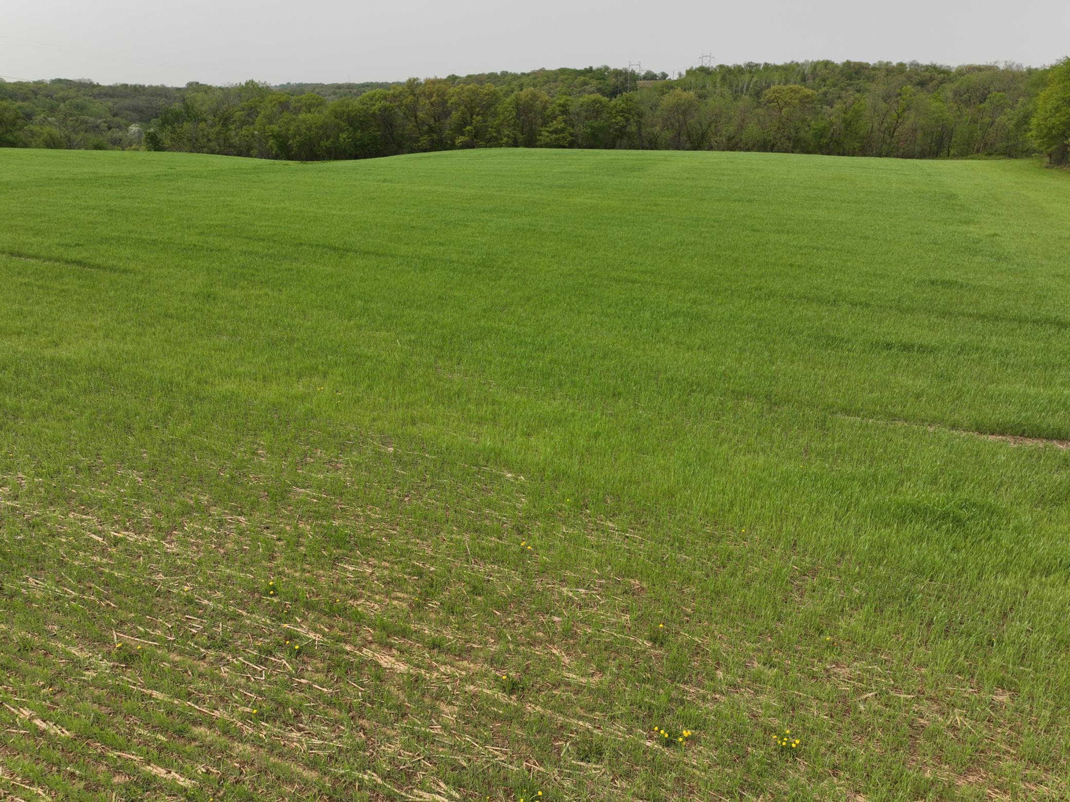 111 Highway 19 Northfield, MN 55057 - Photo 12 of 18