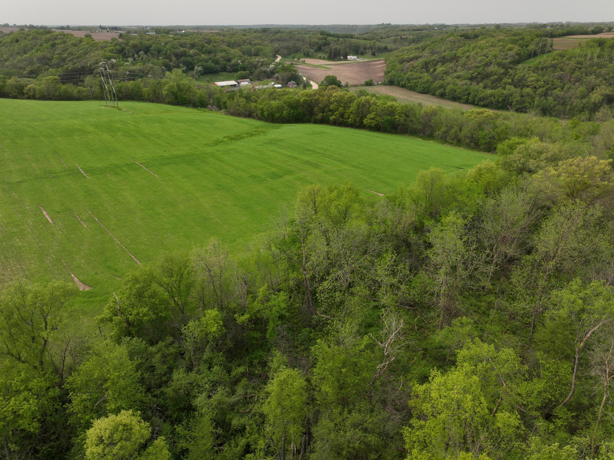 111 Highway 19 Northfield, MN 55057 - Photo 15 of 18