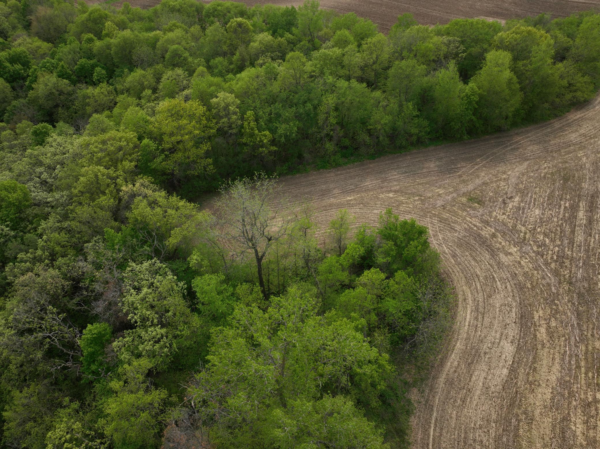 111 Highway 19 Northfield, MN 55057 - Photo 4 of 18