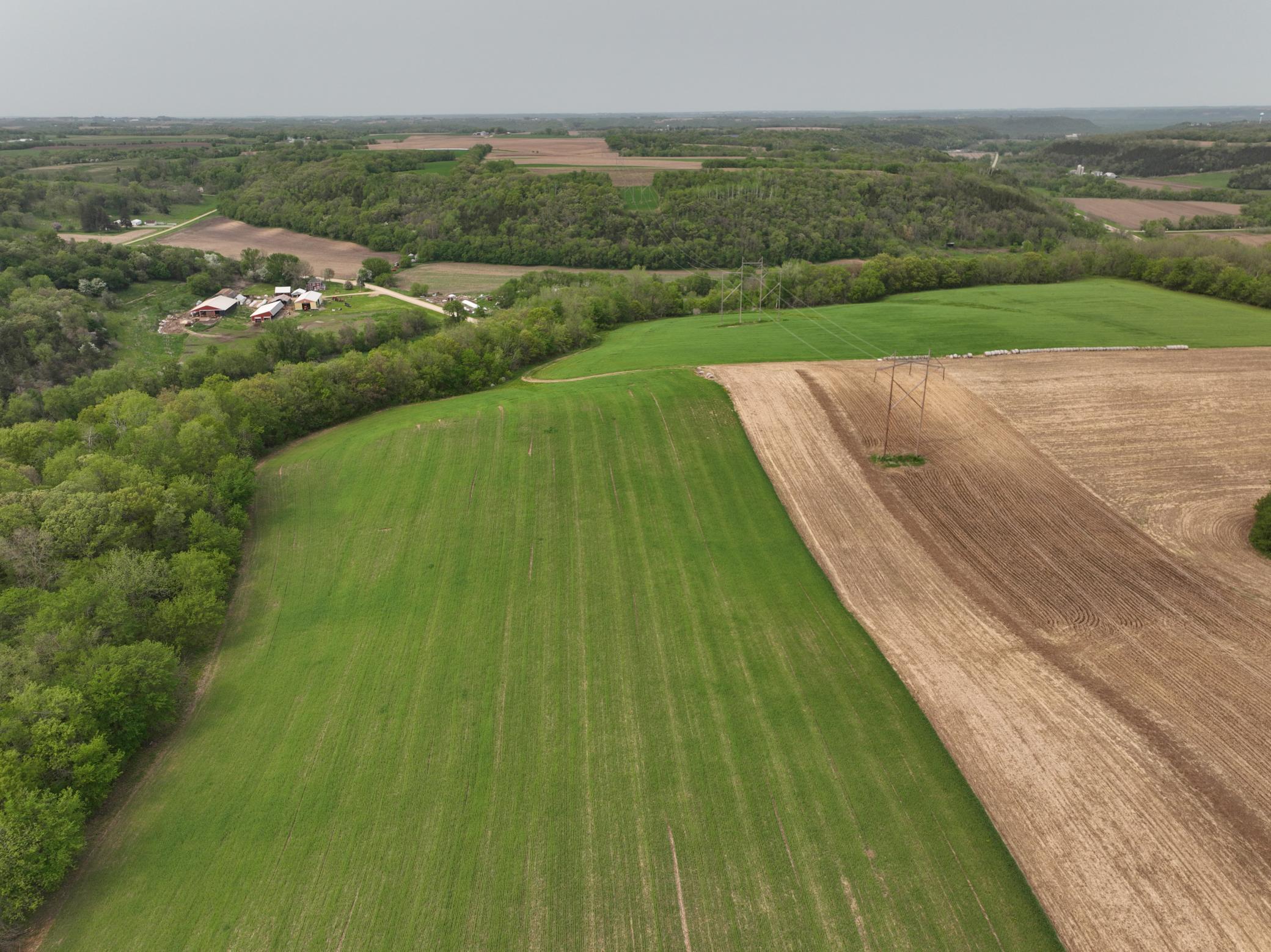 111 Highway 19 Northfield, MN 55057 - Photo 5 of 18