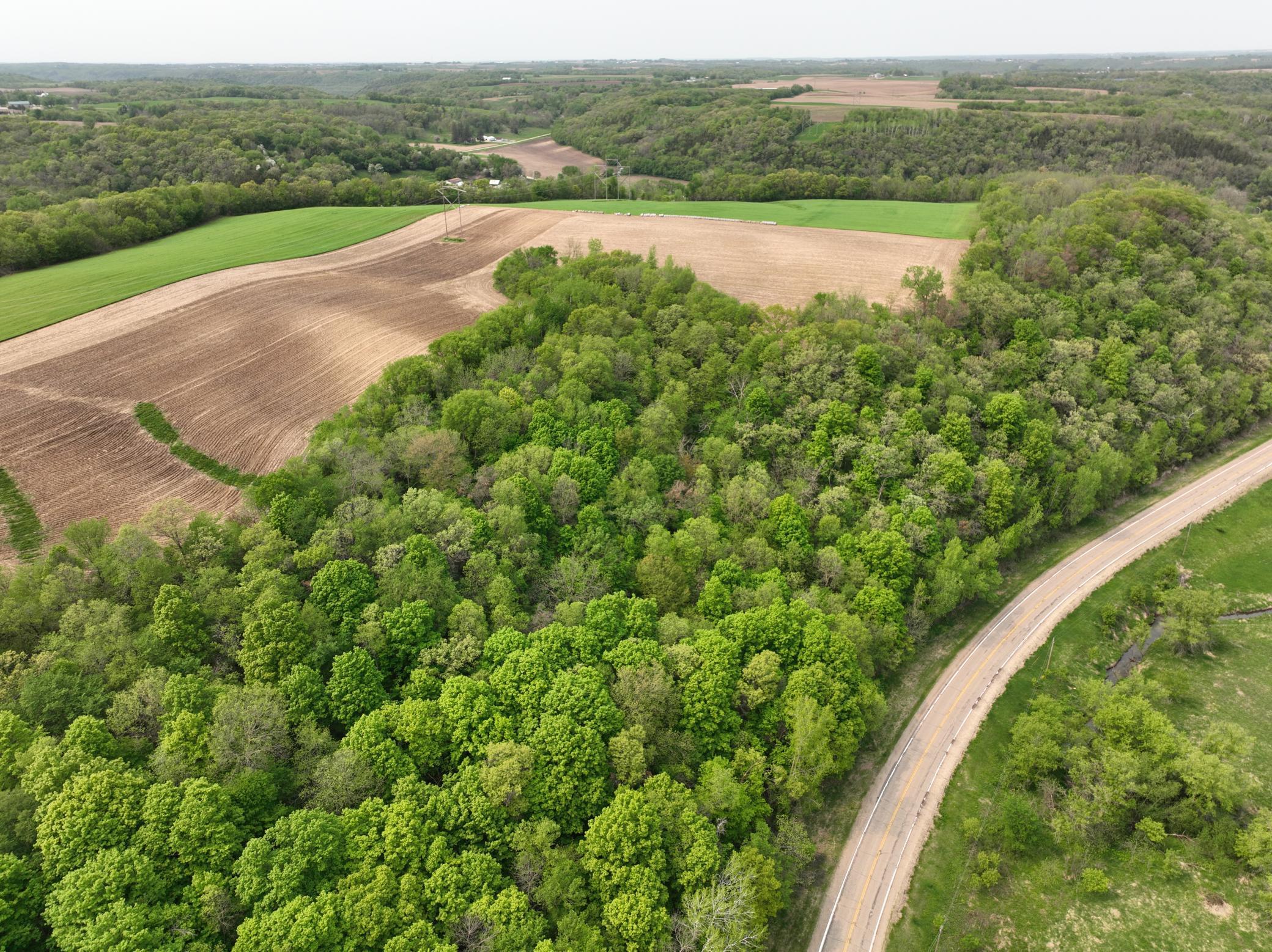 111 Highway 19 Northfield, MN 55057 - Photo 8 of 18