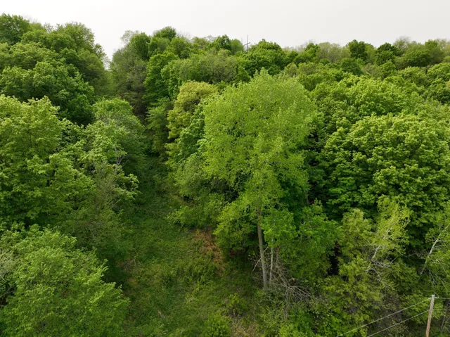 $595,000 | 111 Highway 19, Northfield, MN 55057