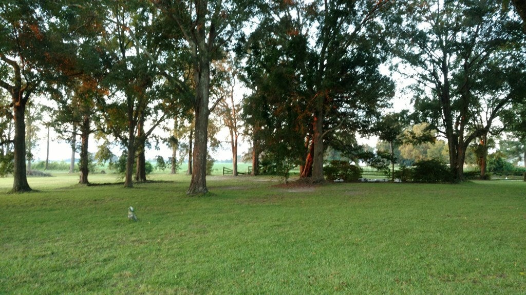 4942 Davidson Road Valdosta, GA 31605 - Photo 21 of 44 Gallery Image 21