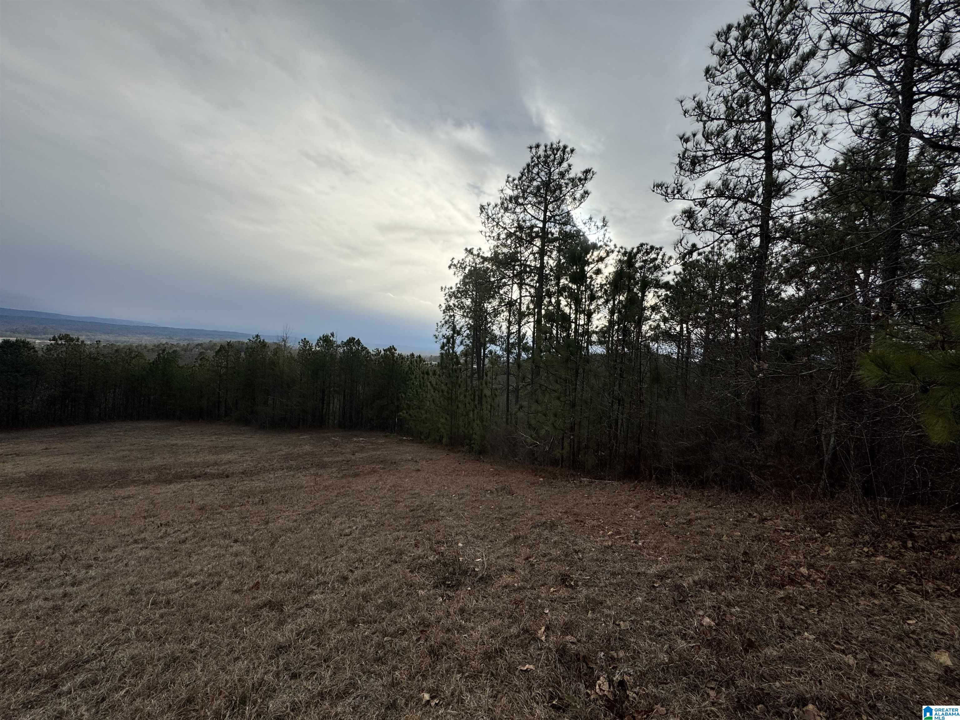 223 Mountain Ridge Road, Unit 65A AND 66A Oxford, AL 36203 - Photo 26 of 37 Gallery Image 26