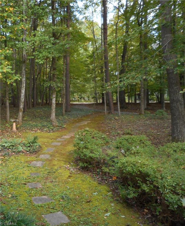 View From the Front Porch