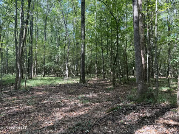 $149,500 | 5216 Attala Road, Kosciusko, MS 39090