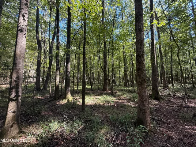 $149,500 | 5216 Attala Road, Kosciusko, MS 39090