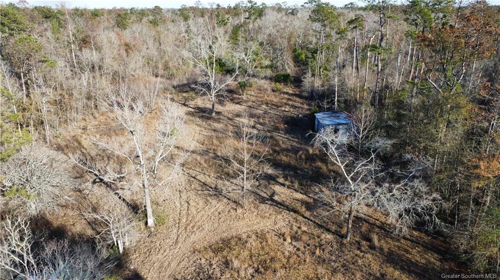 109 Brahman Drive Ragley, LA 70657 - Photo 3 of 3