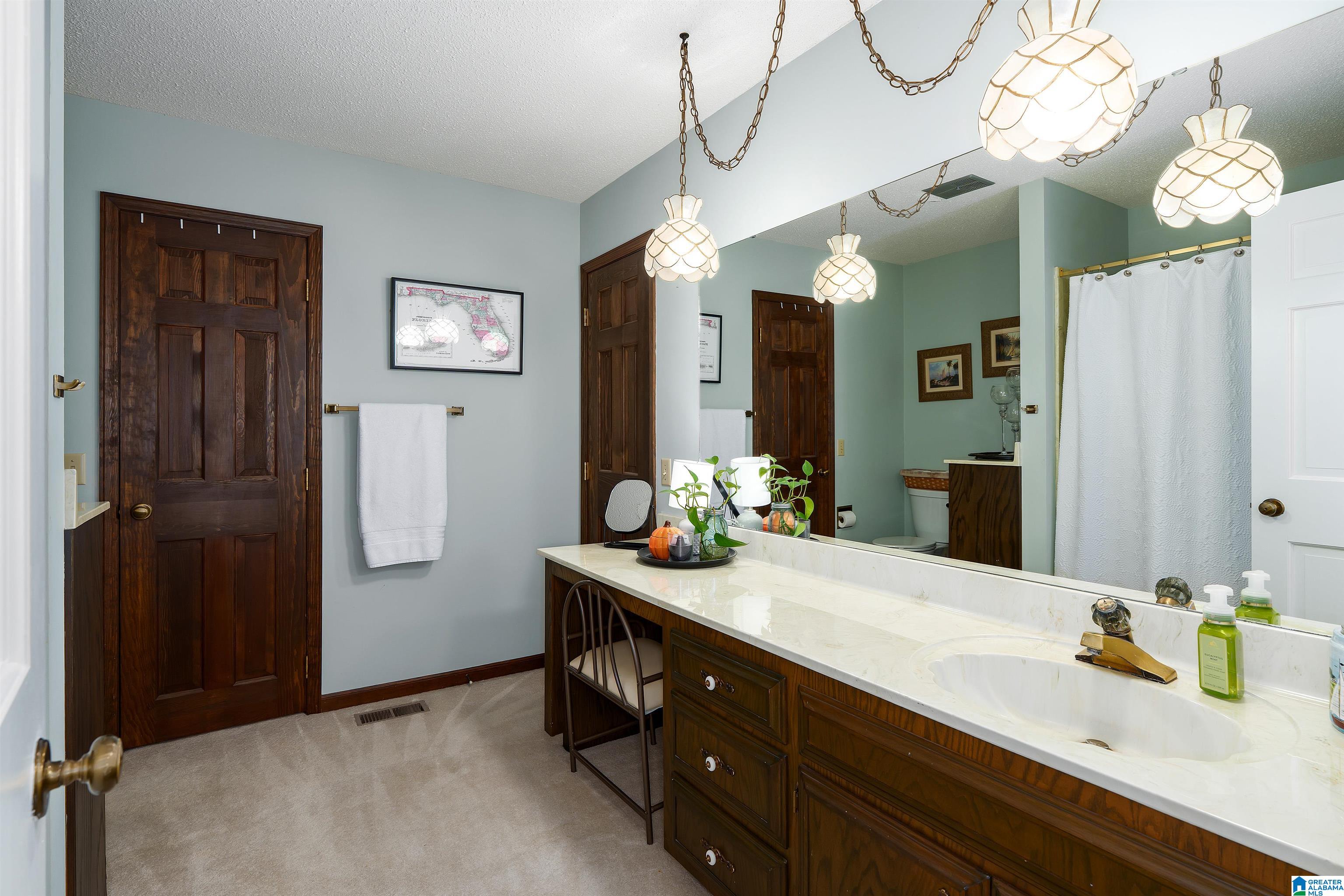 244 Mount Carmel Road Guntersville, AL 35976 - Photo 36 of 58
