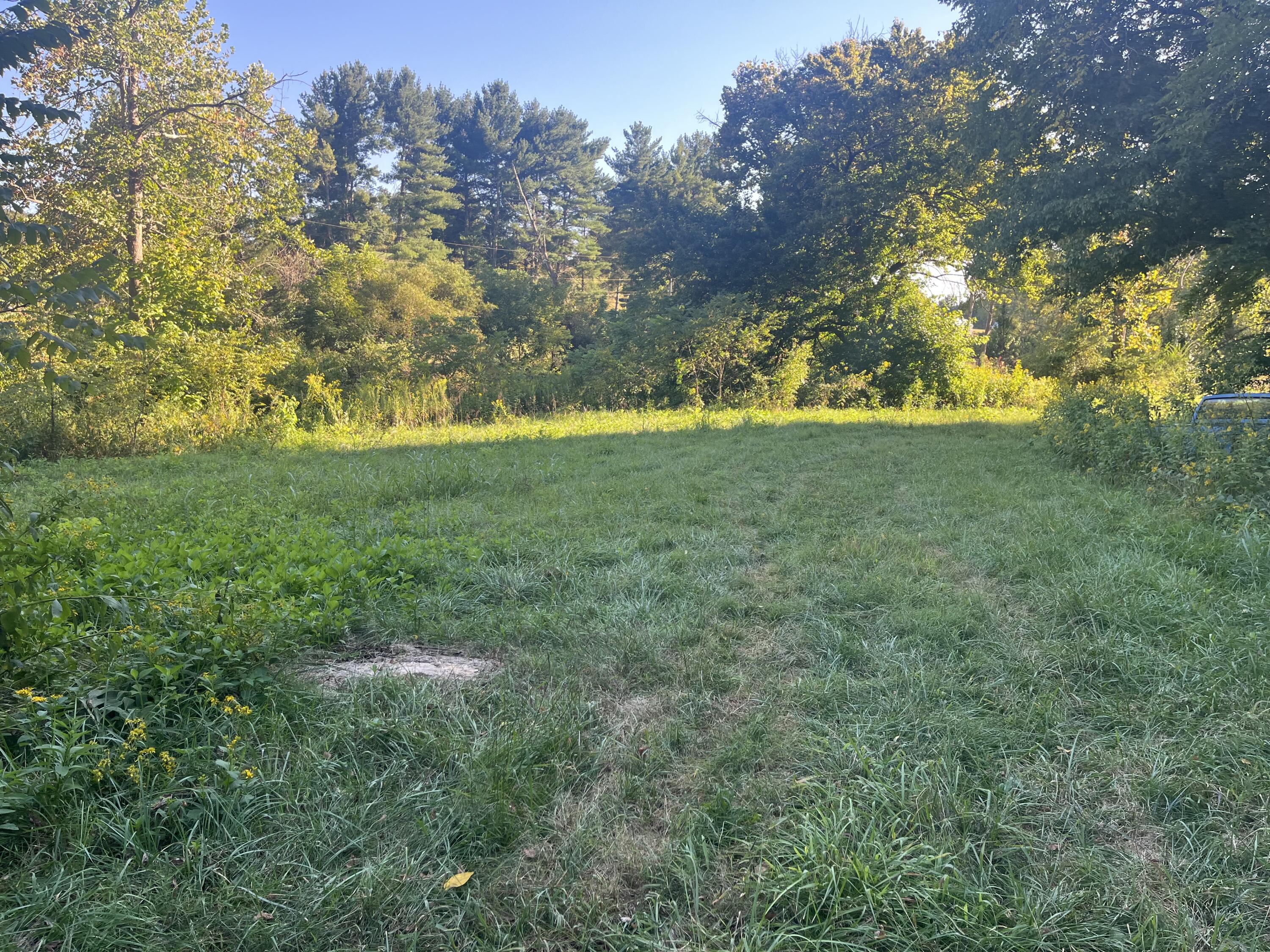 229 Mt Joy Road Buchanan, VA 24066 - Photo 1 of 11 a view of yard with green space and trees all around