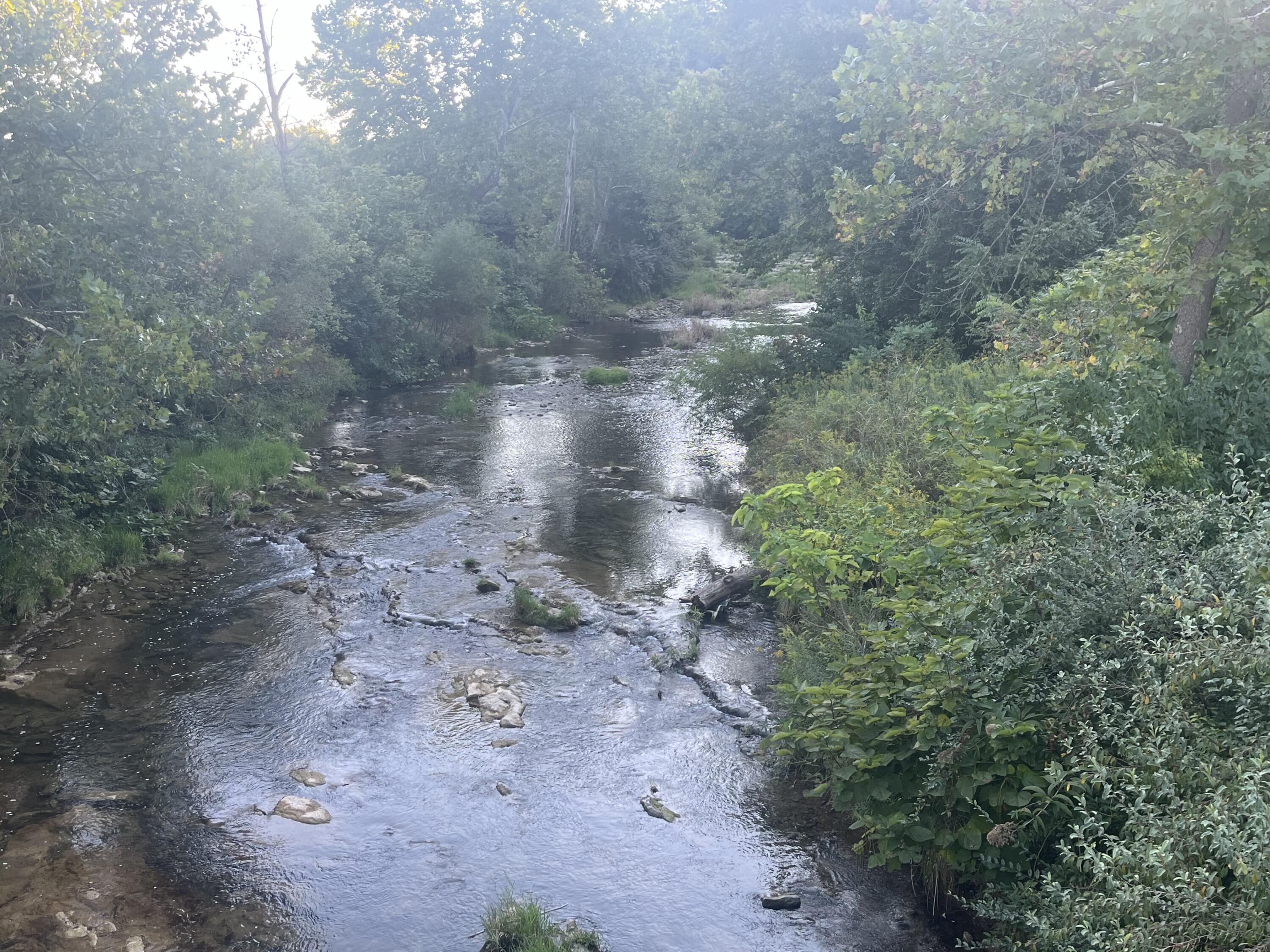 229 Mt Joy Road Buchanan, VA 24066 - Photo 11 of 11 a view of a yard with trees in the background