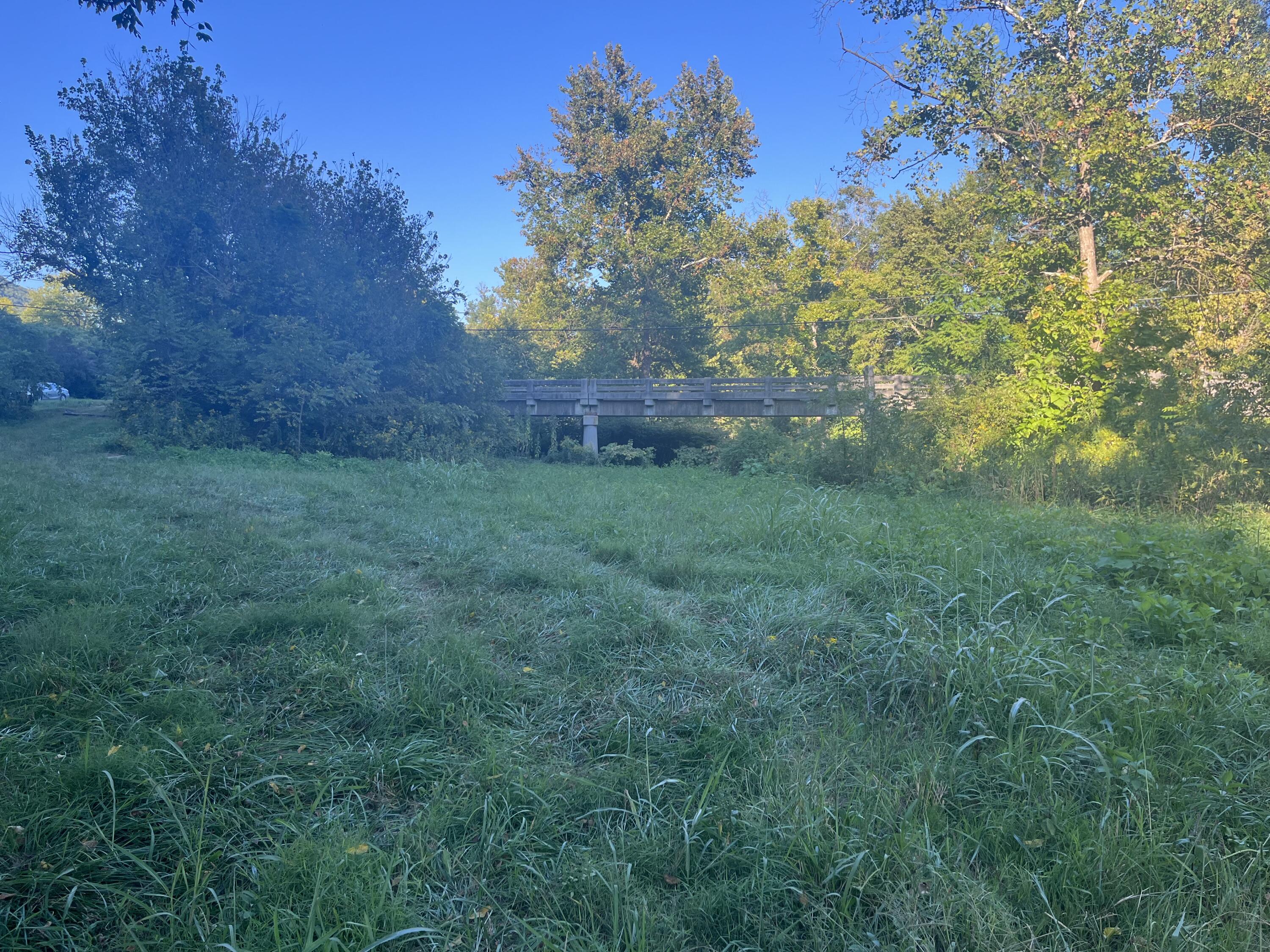 229 Mt Joy Road Buchanan, VA 24066 - Photo 3 of 11